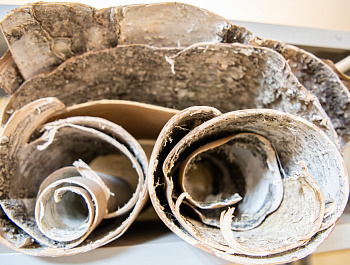 От планов по расширению – до борьбы за выживание: как инвалидов дискриминируют по «офисному признаку»