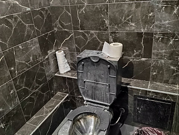 О сантехнике и не только: чем удивили отделы полиции Кировского и Фрунзенского районов?