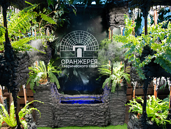 «Любовь может все»: Светлана Агапитова – о романтических историях особенных семей в Таврическом саду