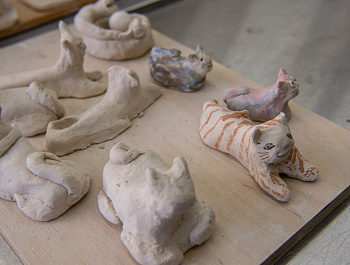 ДСО «Покровский»: изменилось не только название