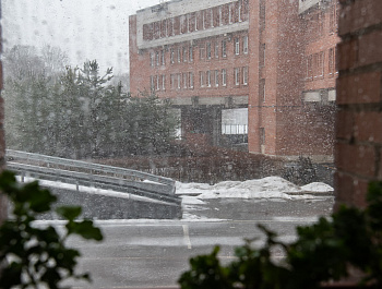 Сестрорецкий технологический колледж – одно из учреждений, где люди с особенностями могут пройти профессиональную подготовку