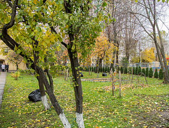 «Ленводхоз»: кто в Петербурге следит за плотинами и спасает город от паводков?