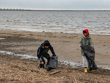 Правозащитный субботник на мысе Тарховка