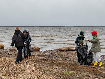 Правозащитный субботник на мысе Тарховка