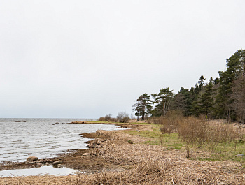 Правозащитный субботник на мысе Тарховка