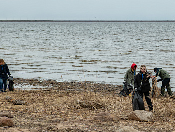 Правозащитный субботник на мысе Тарховка