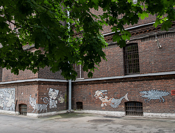 ПБСТИН – место изоляции и лечения, а не наказания