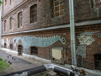 ПБСТИН – место изоляции и лечения, а не наказания