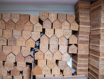 От планов по расширению – до борьбы за выживание: как инвалидов дискриминируют по «офисному признаку»