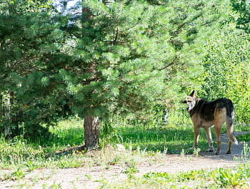 ПИЛАРН: кто борется с зажорами и собирает подсланевые воды?