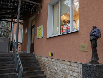 Женская консультация Пушкина: самостоятельное юрлицо, отсутствие тарифов и немного мистики