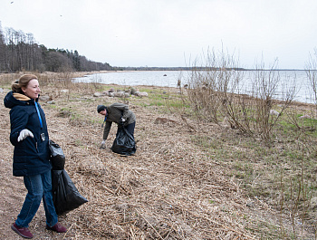 Правозащитный субботник на мысе Тарховка