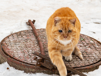 Прием в Колонии-поселении № 8: от принудительных работ и УДО до нормативного пробела с трудовыми мигрантами